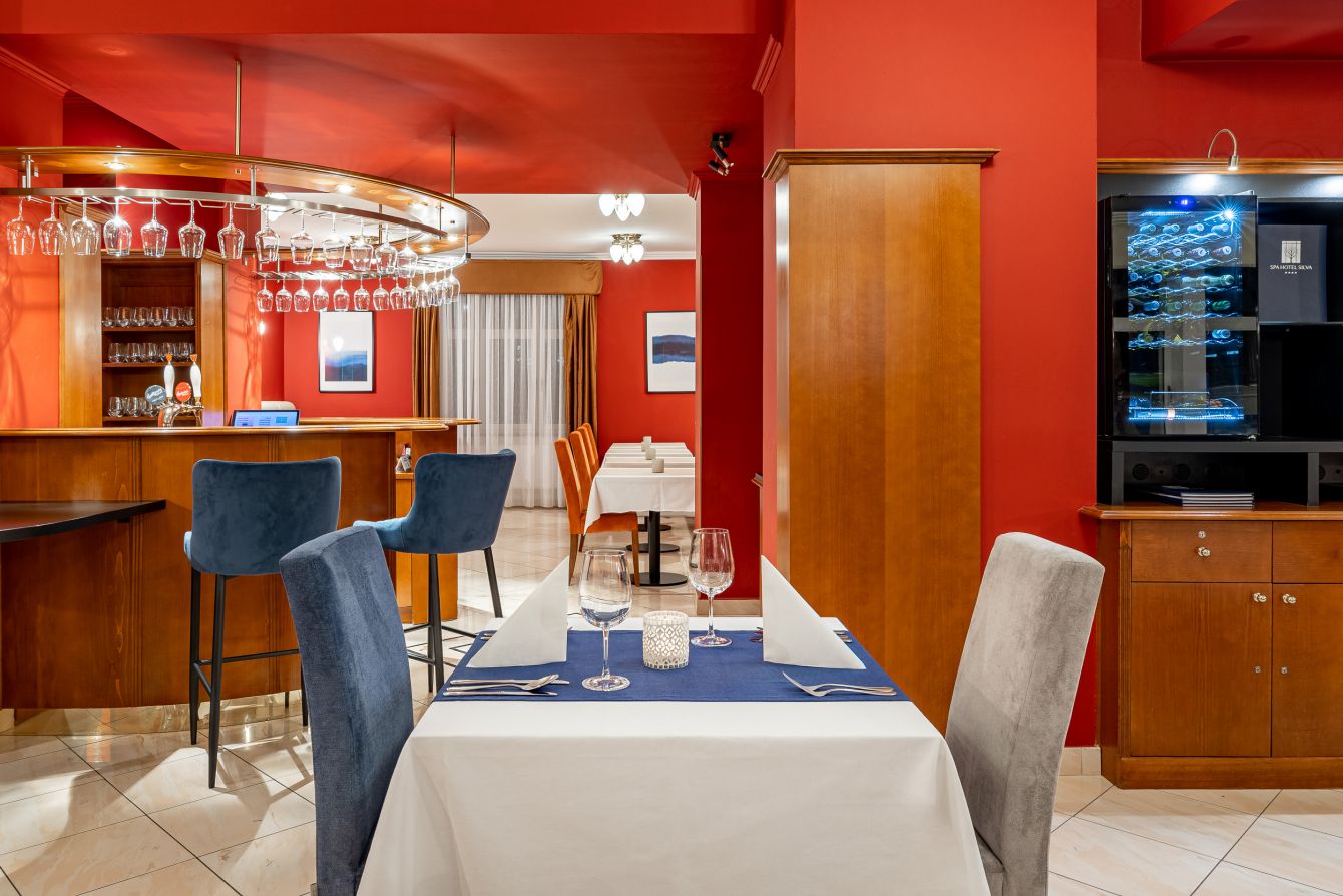 Restaurace Hotel Silva